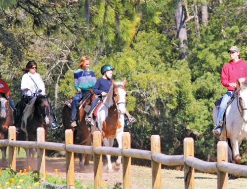 Sea Pines for Families: Why It’s a Top Choice for Full-Time Living